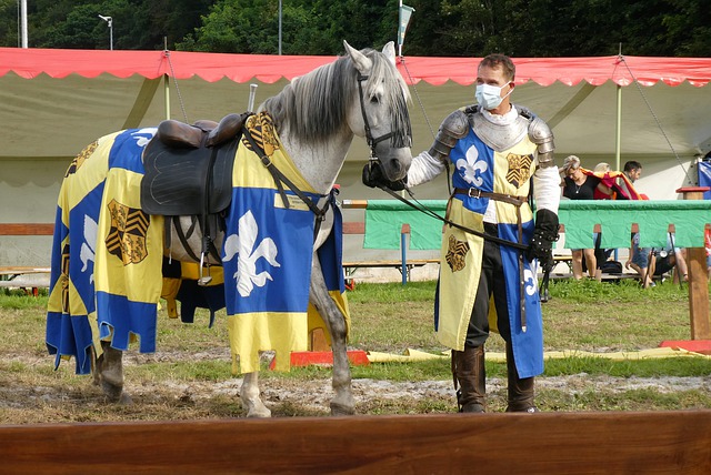 法国对阵澳 法国对阵澳