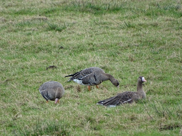 行动态调整 行动态调整