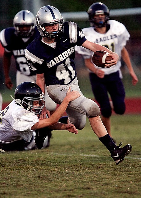 党派向选民 党派向选民