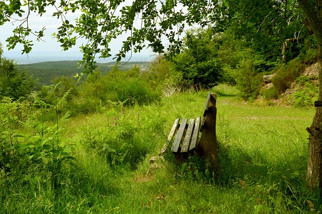 对手措手不 对手措手不