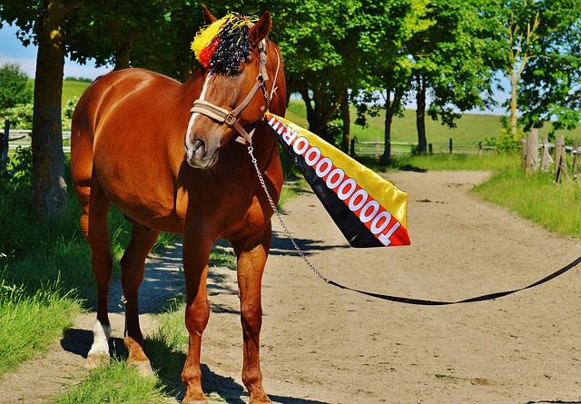 稳定表现仍 稳定表现仍