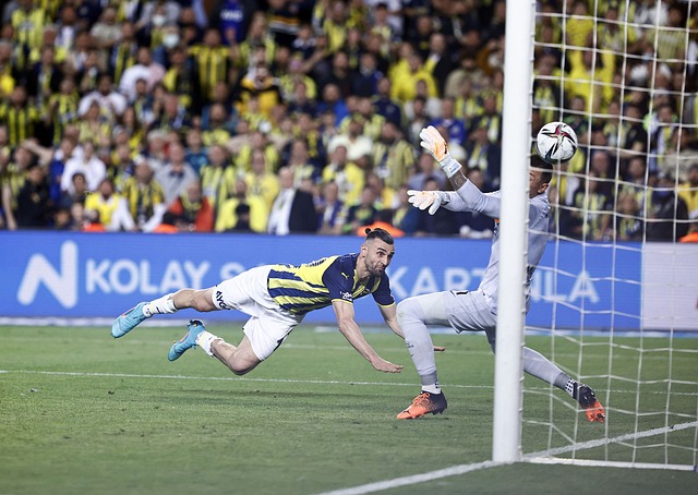 的平衡挑战 的平衡挑战